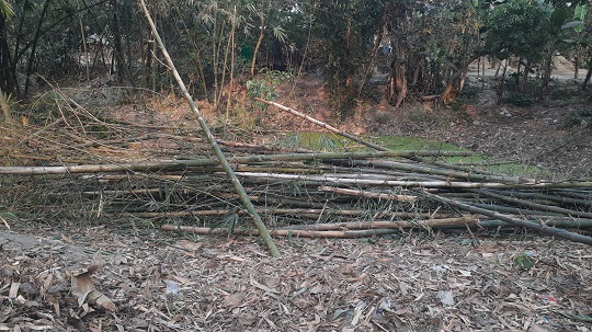 image-here